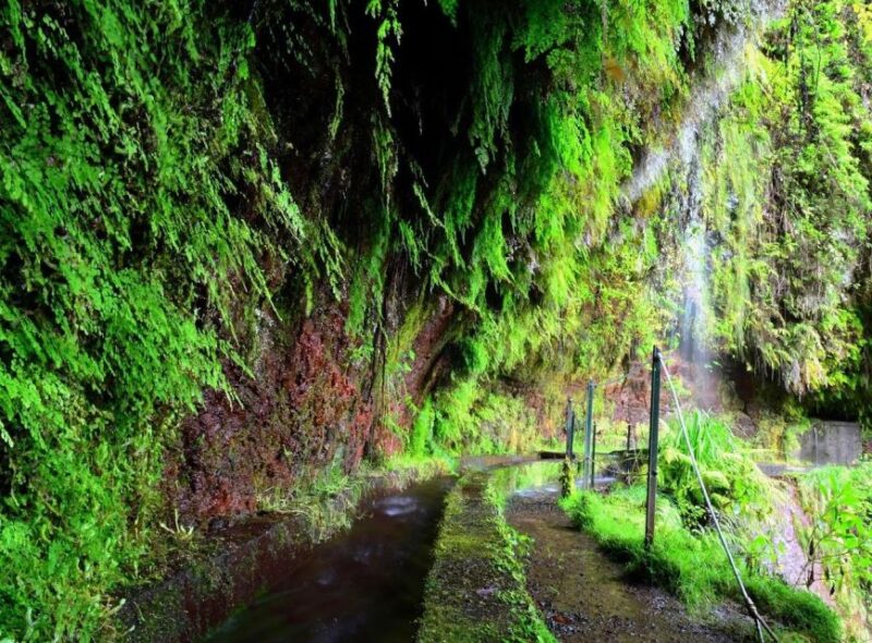 Madeira: Walking Tour Levada Do Rei/Ribeiro Bonito - Recommendations