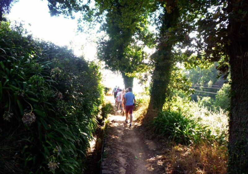 Madeira: Walking Tour - Paradise Valley / Rochão - Tour Overview