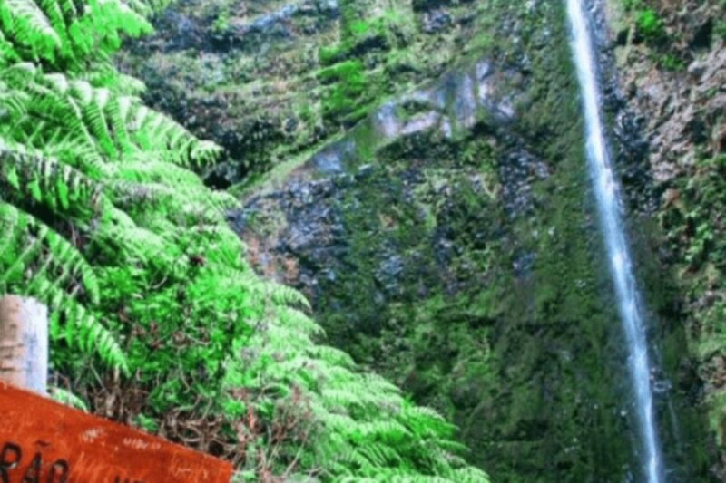 Madeira: Walking Tour - Queimadas / Caldeirão Verde - Tour Overview