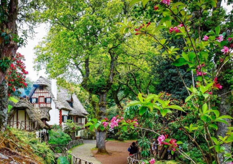 Madeira: Walking Tour - Queimadas / Caldeirão Verde - Experience Highlights