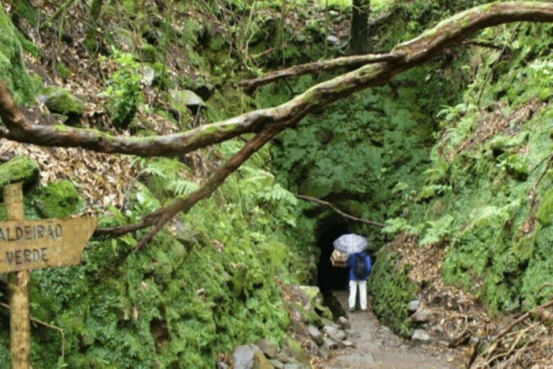 Madeira: Walking Tour - Queimadas / Caldeirão Verde - Admire Stunning Waterfalls