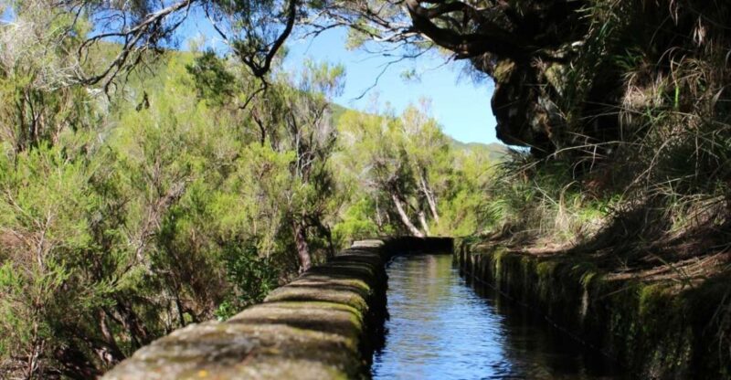 Madeira: Walking Tour - Rabaçal / 25 Fountains - Experience Highlights