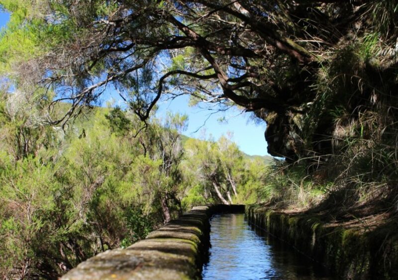 Madeira: Walking Tour - Rabaçal / 25 Fountains - Guided Tour Information