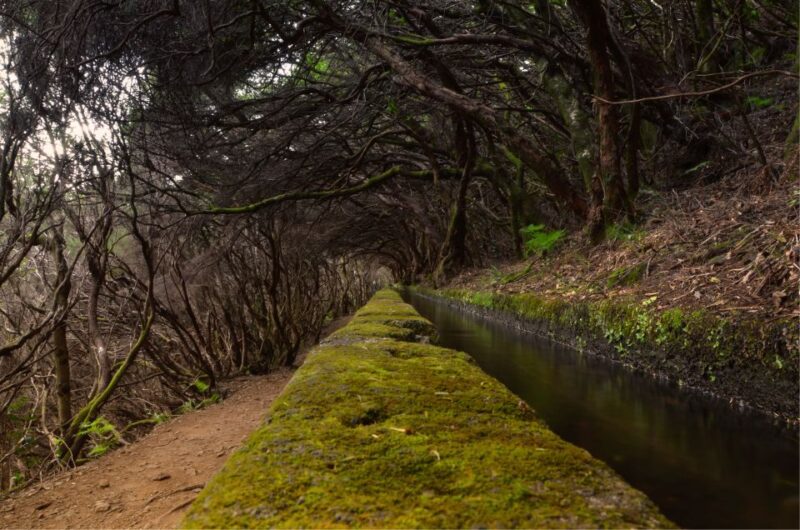 Madeira Walks - Rabaçal and the 25 Fountains - Tour Inclusions
