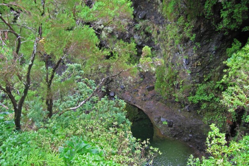 Madeira Walks - Rabaçal and the 25 Fountains - Customer Reviews