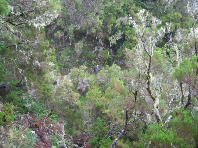 Madeira Walks - Rabaçal and the 25 Fountains - Taking in Nature