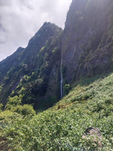 Madeira West Safari - the Natural Lava Pools of Porto Moniz - Participant Requirements