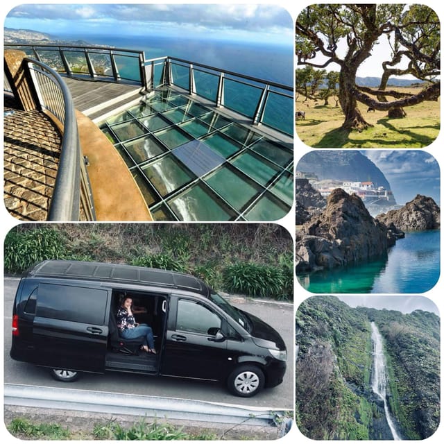 Madeira: West Tour With Guide Fanal Forest SykWalkExperience - Fanal Forest