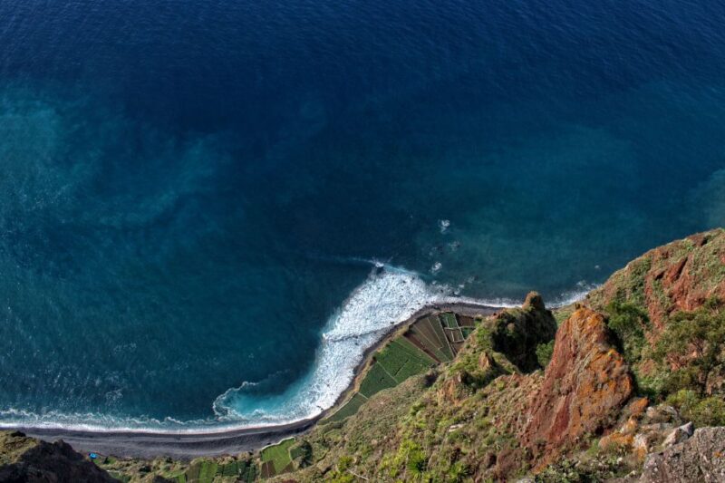 Madeira: Western Madeira Guided Trip & Fanal Mystic Forest - Customer Reviews and Ratings