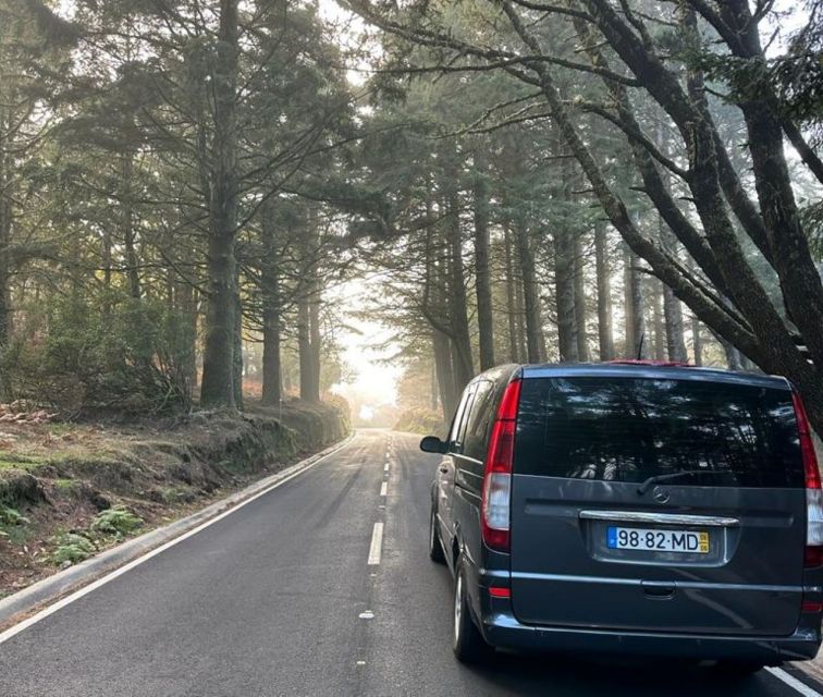 Madeira: Western Madeira Guided Trip & Fanal Mystic Forest - Pickup Locations and Fees
