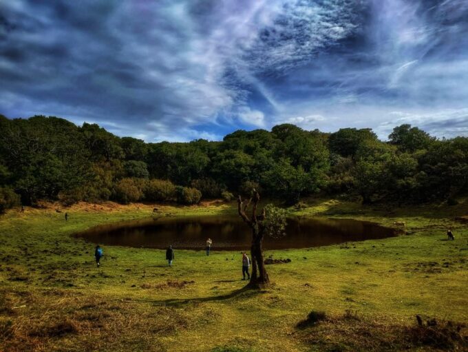 Madeira: Western Madeira Guided Trip & Fanal Mystic Forest - Cancellation and Refund Policy