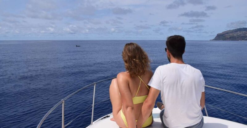 Madeira: Whale and Dolphin Watching Private Cruise - Discovering Marine Life