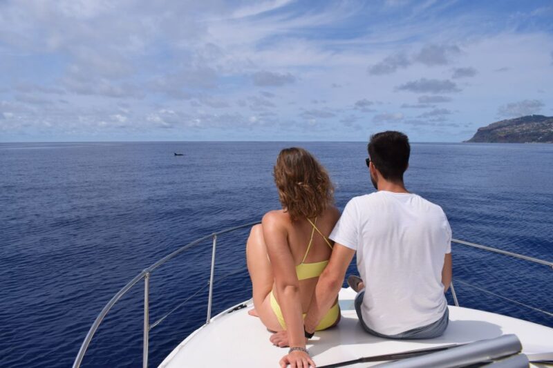 Madeira: Whale and Dolphin Watching Private Cruise - Respectful Approach to Wildlife