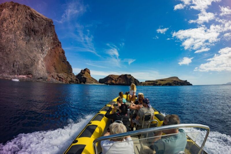Madeira: Whale and Dolphin Watching Tour - Tour Details