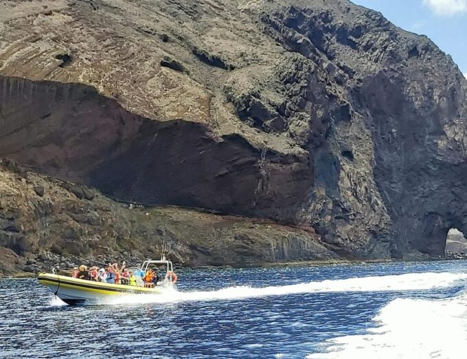Madeira: Whale and Dolphin Watching Tour - Frequently Asked Questions