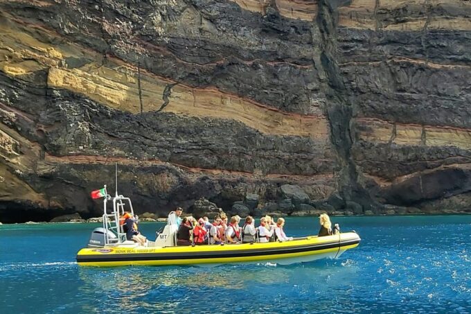 Madeira: Whale and Dolphin Watching Tour - Safety and Sustainability