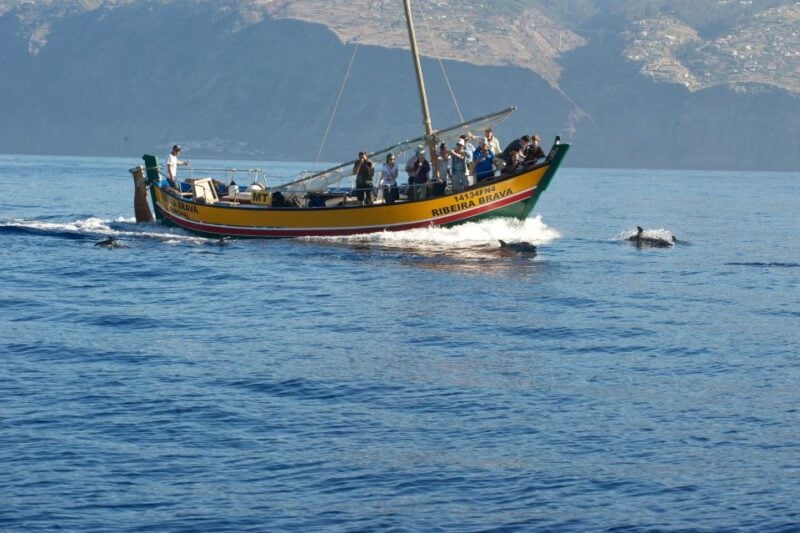 Madeira: Whale Watching Excursion in a Traditional Vessel - Booking and Cancellation Policy