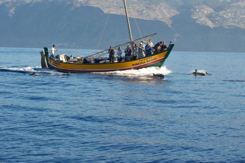 Madeira: Whale Watching Excursion in a Traditional Vessel - Pricing and Booking