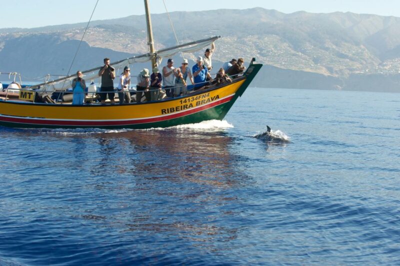 Madeira: Whale Watching Excursion in a Traditional Vessel - Stunning Coastline Views
