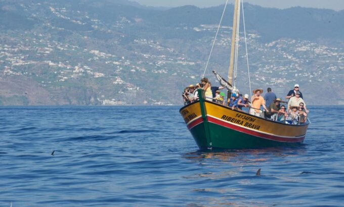 Madeira: Whale Watching Excursion in a Traditional Vessel - Authentic Vessel Experience