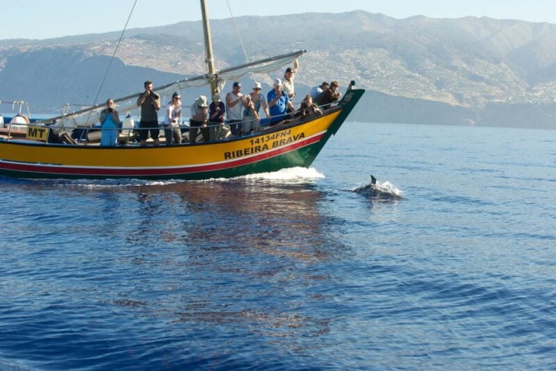 Madeira: Whale Watching Excursion in a Traditional Vessel - Frequently Asked Questions