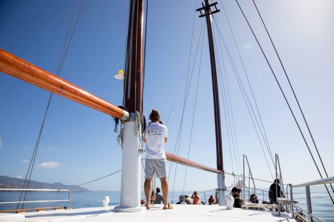 Madeira : Whales and Dolphins Wooden Boat Excursion - Important Information
