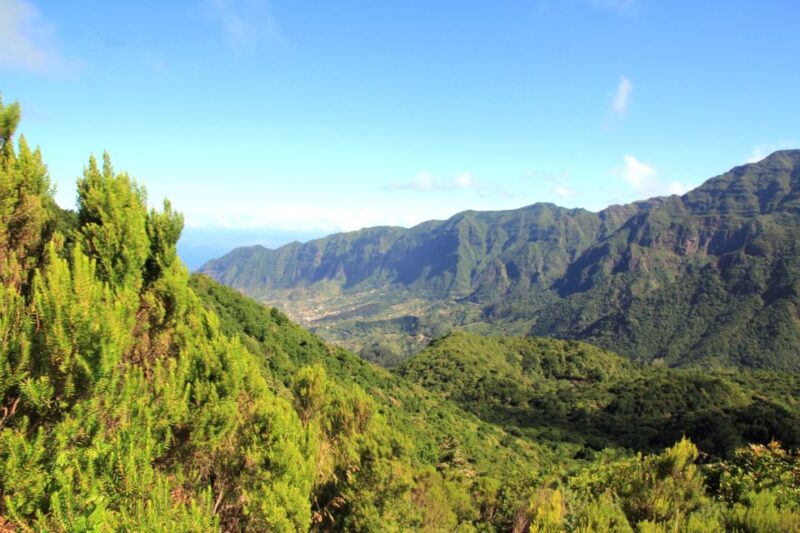 Madeira: Wine Safari Jeep Tour With Local Guide - Inclusions
