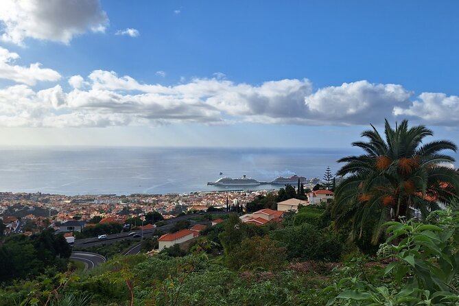 Madeira Wine Tasting and Funchal City Tour - Fabrica Santo Antonio