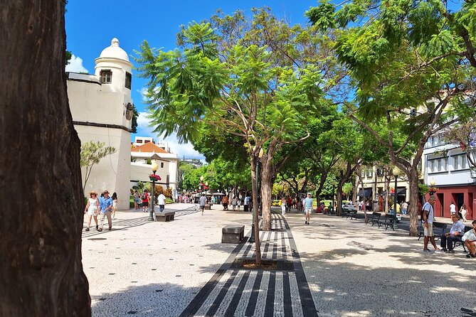 Madeira Wine Tasting and Funchal City Tour - Inclusion Highlights