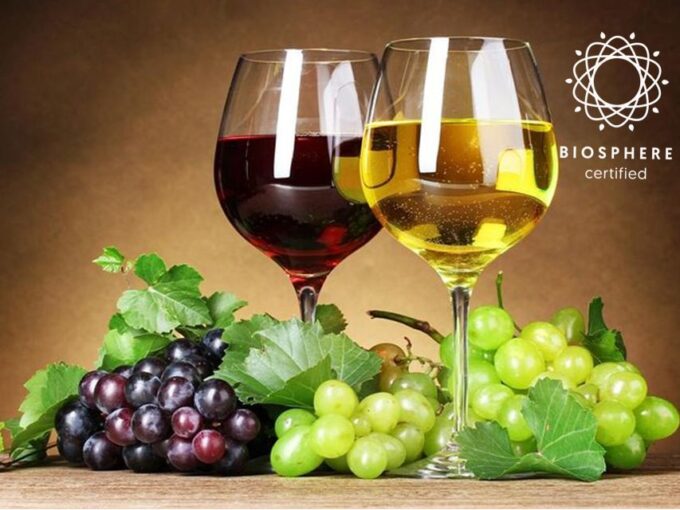Madeira: Wine Tasting Experience Honey Museum and Cabo Girão - Local Cuisine Pairings