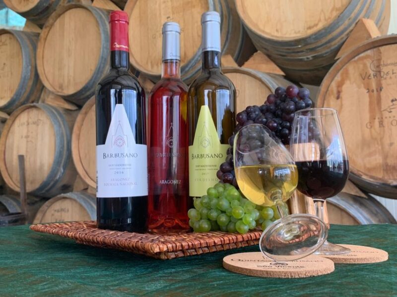 Madeira: Wine Tasting Experience Honey Museum and Cabo Girão - Madeiras Sustainable Traditions