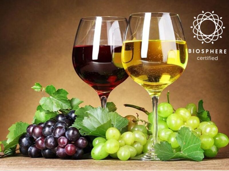 Madeira: Wine Tasting Experience Honey Museum and Cabo Girão - Honey Production and Benefits