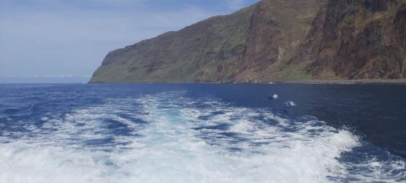 Madeira: Yacht Tours - Wildlife & Bays, Sunset, Desert Isles - Itinerary Highlights
