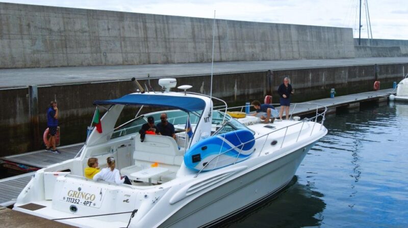 Madeira: Yacht Tours - Wildlife & Bays, Sunset, Desert Isles - What to Bring