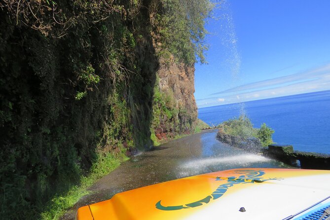 Madeiras Majestic South Coastal Wonders - Accessibility and Recommendations