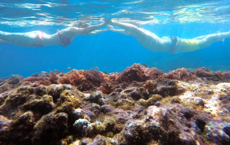 Madeiras Marine Reserve: Kayak & Snorkelling Trip - Group and Guide Information