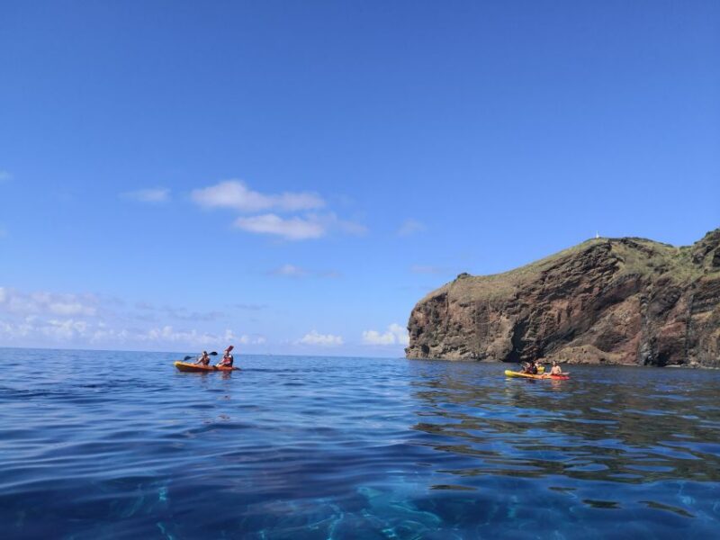 Madeiras Marine Reserve: Kayak & Snorkelling Trip - Inclusions and Requirements