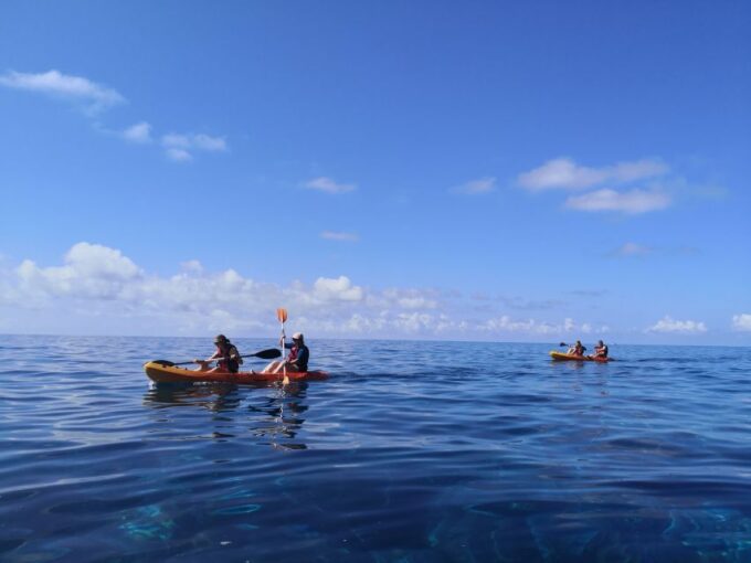 Madeiras Marine Reserve: Kayak & Snorkelling Trip - Customer Feedback