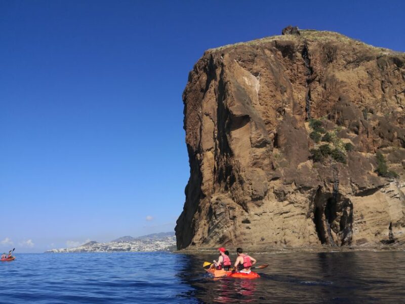 Madeiras Marine Reserve: Kayak & Snorkelling Trip - Experience Highlights
