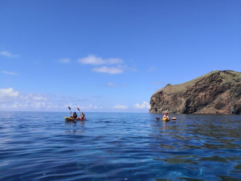 Madeiras Marine Reserve: Kayak & Snorkelling Trip - Group and Guide Information