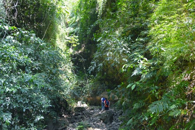 Maderas Volcano Hike at Ometepe Island - Tour Inclusions and Highlights