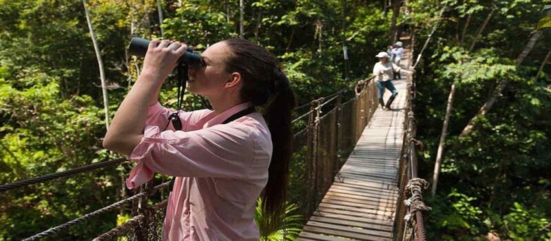 Madre De Dios-Inkaterra Amazon Reserve Experience 3 Day Tour - Exploring the Rainforest