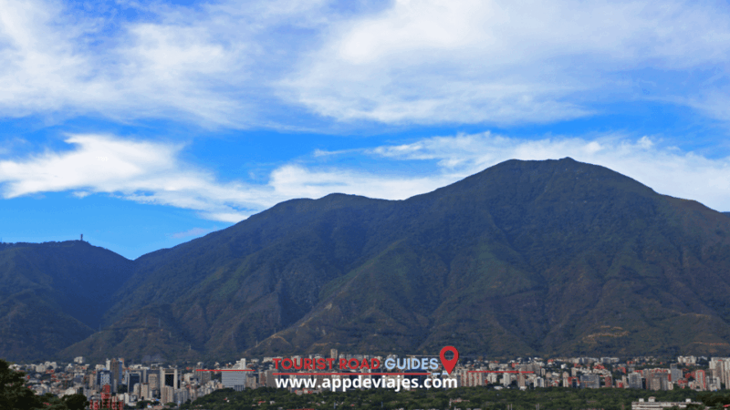 Madrid: Avila and Tierras De Cebreros Winery Tour With Lunch - Tour Inclusions