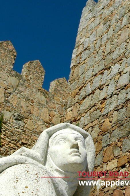 Madrid: Avila and Tierras De Cebreros Winery Tour With Lunch - Booking and Cancellation