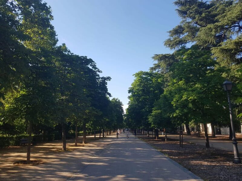Madrid Bike Tour With Churros Plus Ham & Wine Tasting Option - Biking Experience