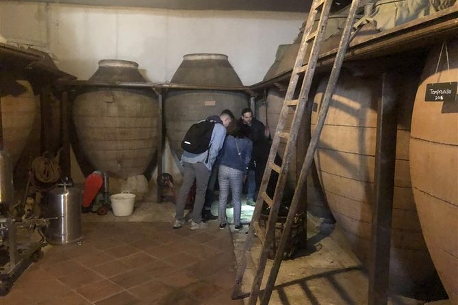 Madrid Countryside Wine Experience With Tasting Small Group Tour - Schedule and Booking