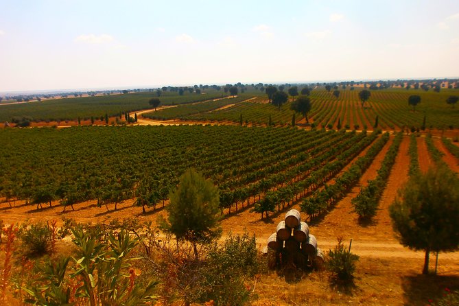 Madrid Countryside Wineries Guided Tour With Wine Tasting - Practical Information