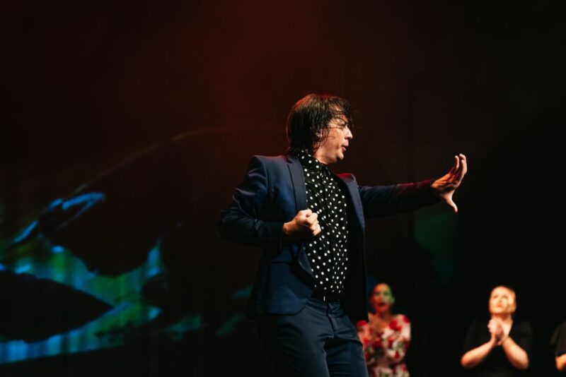 Madrid: Emociones Live Flamenco Performance - Key Points