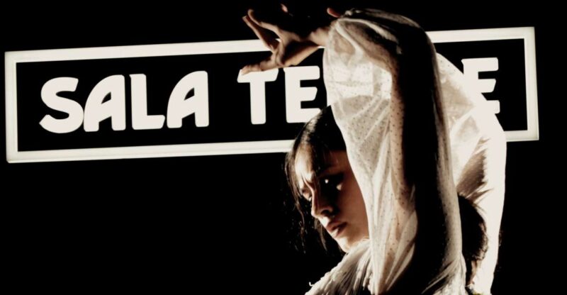 Madrid: Flamenco Show at Tablao Sala Temple With Drink - Key Points