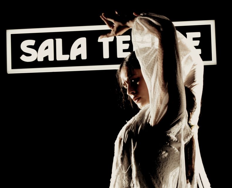 Madrid: Flamenco Show at Tablao Sala Temple With Drink - When to Visit